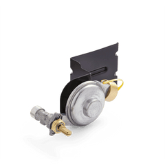 Gas Valve and Regulator Assembly