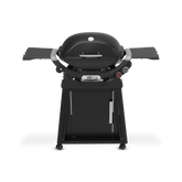 Q 2800N+ Gas Grill with Stand (Liquid Propane)