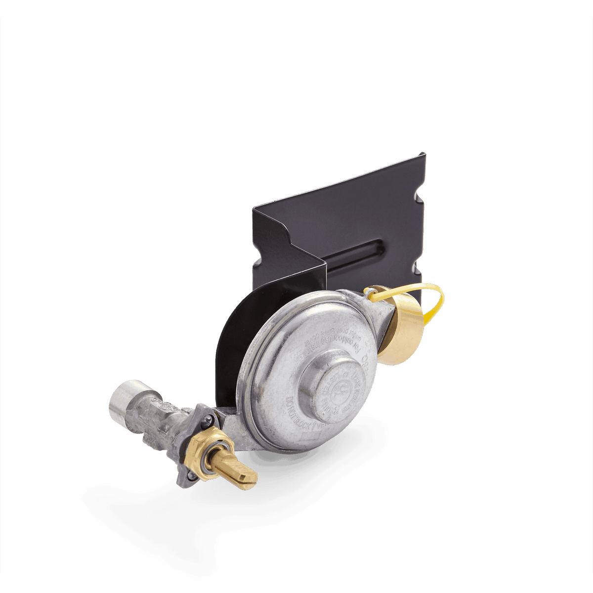 Gas Valve and Regulator Assembly